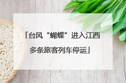 台风“蝴蝶”进入江西 多条旅客列车停运