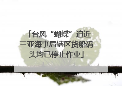 台风“蝴蝶”迫近 三亚海事局辖区货船码头均已停止作业