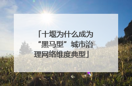 十堰为什么成为“黑马型”城市治理网络维度典型