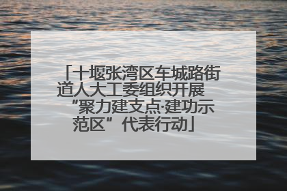十堰张湾区车城路街道人大工委组织开展 “聚力建支点·建功示范区”代表行动