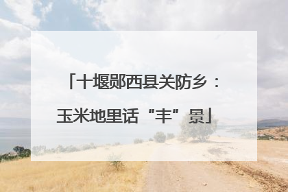 十堰郧西县关防乡：玉米地里话“丰”景