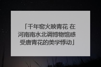 千年窑火映青花 在河南南水北调博物馆感受唐青花的美学悸动