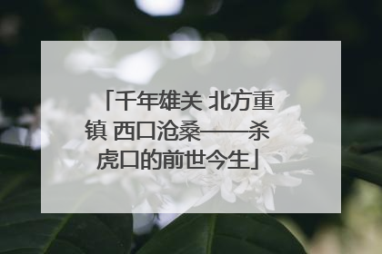 千年雄关 北方重镇 西口沧桑——杀虎口的前世今生