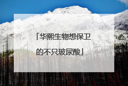 华熙生物想保卫的不只玻尿酸
