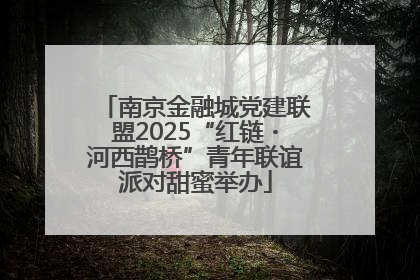 南京金融城党建联盟2025“红链・河西鹊桥”青年联谊派对甜蜜举办