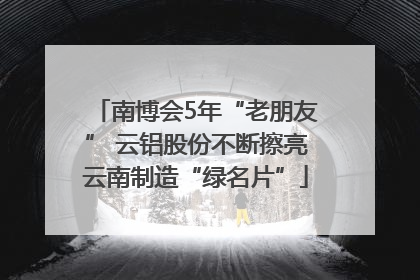 南博会5年“老朋友” 云铝股份不断擦亮云南制造“绿名片”