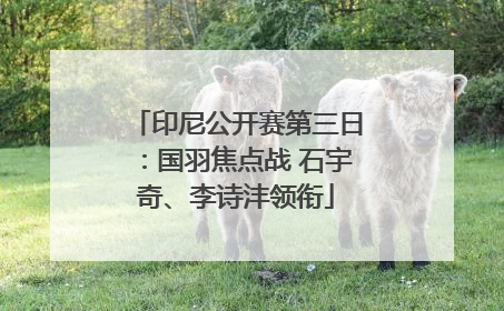 印尼公开赛第三日：国羽焦点战 石宇奇、李诗沣领衔