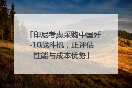 印尼考虑采购中国歼-10战斗机，正评估性能与成本优势