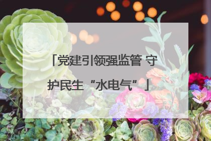 党建引领强监管 守护民生“水电气”