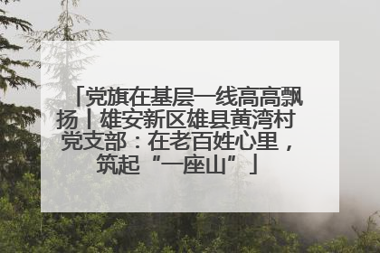 党旗在基层一线高高飘扬丨雄安新区雄县黄湾村党支部：在老百姓心里，筑起“一座山”