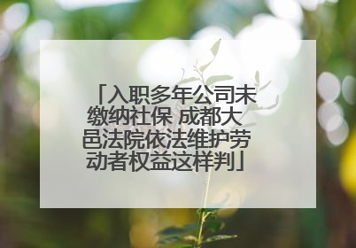 入职多年公司未缴纳社保 成都大邑法院依法维护劳动者权益这样判