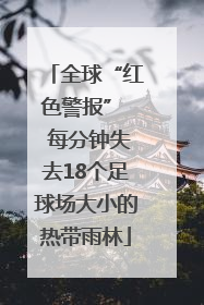 全球“红色警报”  每分钟失去18个足球场大小的热带雨林