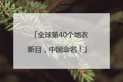 全球第40个地衣新目，中国命名！