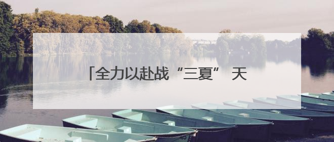 全力以赴战“三夏” 天津小麦机收会战拉开序幕