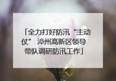 全力打好防汛“主动仗” 漳州高新区领导带队调研防汛工作