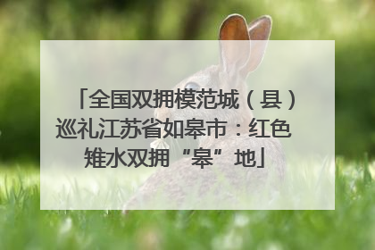 全国双拥模范城（县）巡礼江苏省如皋市：红色雉水双拥“皋”地