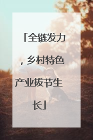 全链发力，乡村特色产业拔节生长