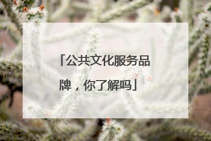 公共文化服务品牌，你了解吗
