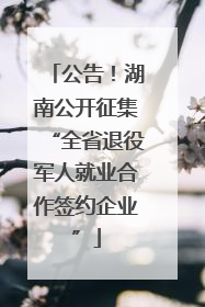 公告！湖南公开征集“全省退役军人就业合作签约企业”