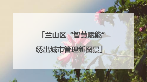 兰山区“智慧赋能”绣出城市管理新图景
