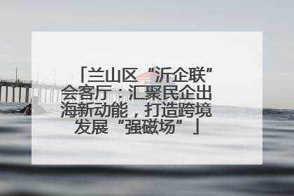兰山区“沂企联”会客厅：汇聚民企出海新动能，打造跨境发展“强磁场”