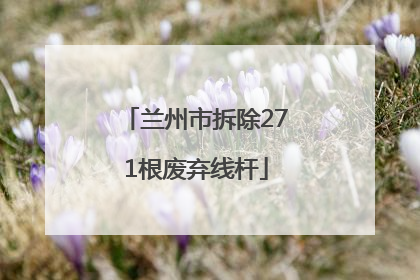 兰州市拆除271根废弃线杆