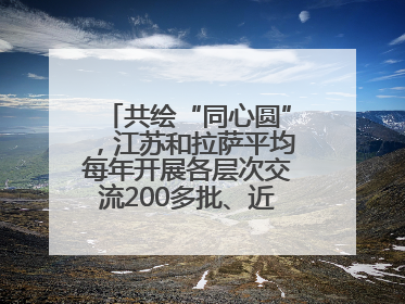 共绘“同心圆”，江苏和拉萨平均每年开展各层次交流200多批、近2000人次
