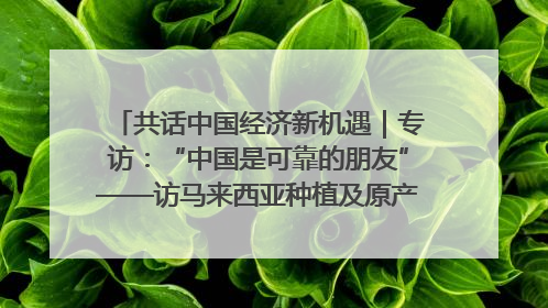 共话中国经济新机遇｜专访：“中国是可靠的朋友”——访马来西亚种植及原产业部副部长陈泓缣