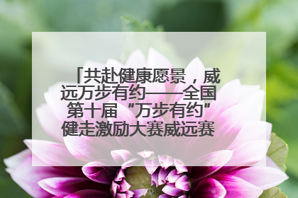 共赴健康愿景，威远万步有约——全国第十届“万步有约”健走激励大赛威远赛区启动仪式