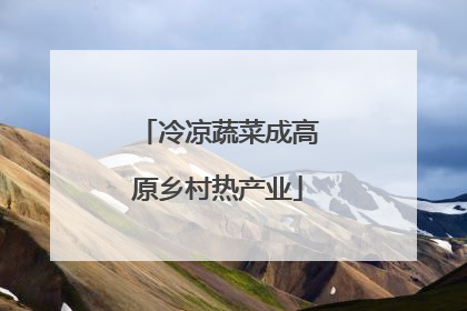 冷凉蔬菜成高原乡村热产业