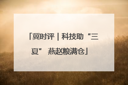 冀时评｜科技助“三夏” 燕赵粮满仓