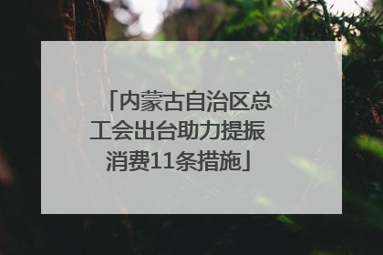 内蒙古自治区总工会出台助力提振消费11条措施