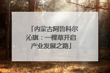 内蒙古阿鲁科尔沁旗：一棵草开启产业发展之路