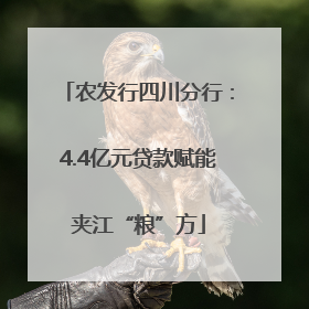 农发行四川分行：4.4亿元贷款赋能夹江“粮”方