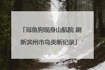 冠鱼狗现身山航院 刷新滨州市鸟类新纪录