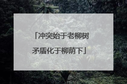 冲突始于老柳树 矛盾化于柳荫下