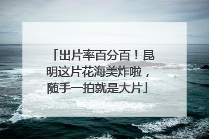 出片率百分百！昆明这片花海美炸啦，随手一拍就是大片