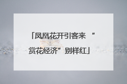 凤凰花开引客来 “赏花经济”别样红