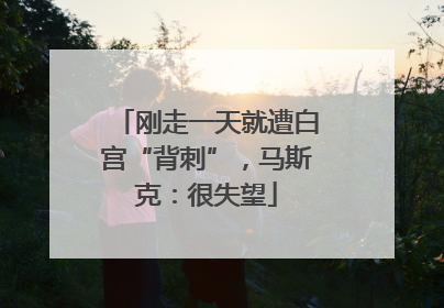 刚走一天就遭白宫“背刺”，马斯克：很失望