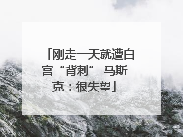 刚走一天就遭白宫“背刺” 马斯克：很失望