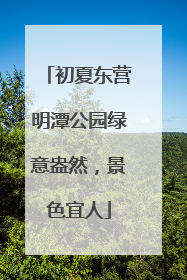 初夏东营明潭公园绿意盎然，景色宜人