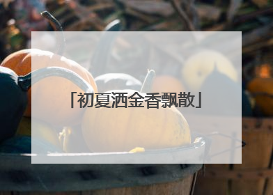 初夏洒金香飘散