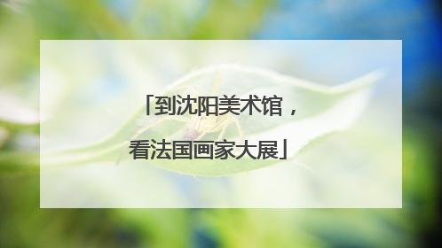 到沈阳美术馆，看法国画家大展