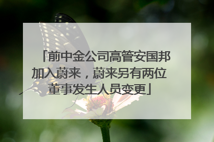 前中金公司高管安国邦加入蔚来，蔚来另有两位董事发生人员变更