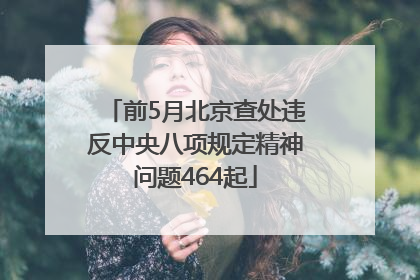 前5月北京查处违反中央八项规定精神问题464起