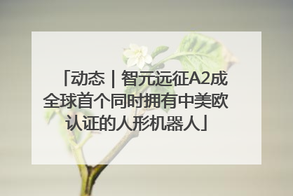 动态｜智元远征A2成全球首个同时拥有中美欧认证的人形机器人
