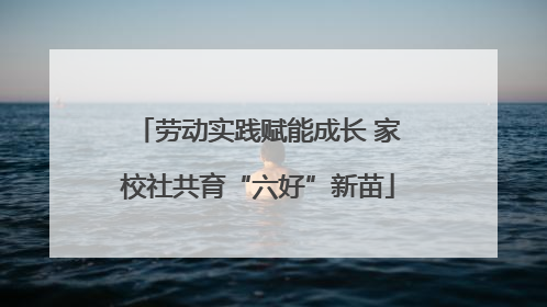 劳动实践赋能成长 家校社共育“六好”新苗