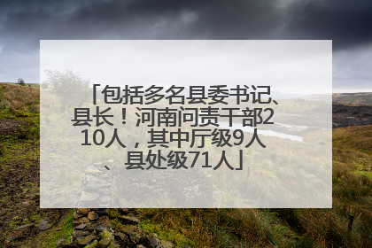 包括多名县委书记、县长！河南问责干部210人，其中厅级9人、县处级71人