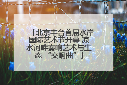 北京丰台首届水岸国际艺术节开幕 凉水河畔奏响艺术与生态 “交响曲”