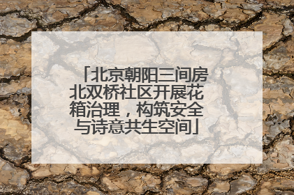 北京朝阳三间房北双桥社区开展花箱治理，构筑安全与诗意共生空间